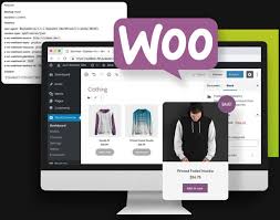 Best WooCommerce Website Developer in Delhi